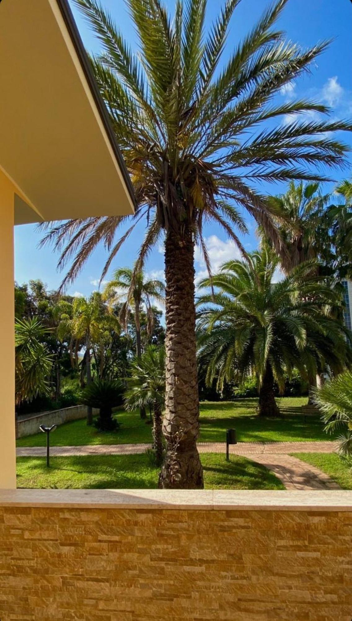 San Michele Apartments&Rooms Catanzaro Buitenkant foto